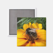 Bumblebee Magnet (Voorkant / Achterkant)