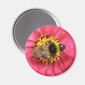 Bumblebee Magnet (Voorkant / Achterkant)