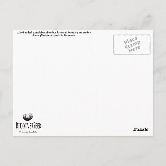 Bumblebee met buff-tailed op Briefkaart van Garden (Achterkant)