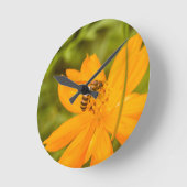 Bumblebee on a Sulfur Cosmos Ronde Klok (Hoek)