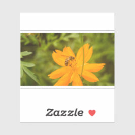 Bumblebee on a Sulfur Cosmos Sticker