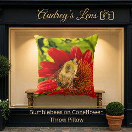 Bumblebee on Red Coneflower Kussen