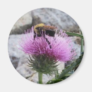 Bumblebee oogst een Paarse thyristoren Magneet