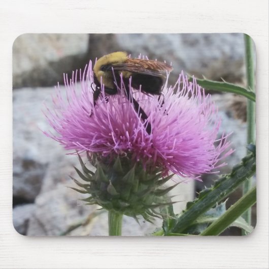 Bumblebee oogst een Paarse thyristoren Muismat (Voorkant)