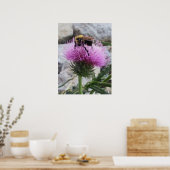 Bumblebee oogst een Paarse thyristoren Poster (Keuken)