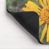 Bumblebee op Balduina Mousepad Muismat (Hoek)