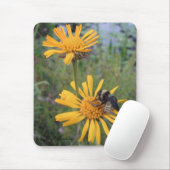 Bumblebee op Balduina Mousepad Muismat (Met muis)