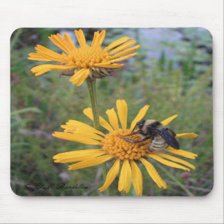 Bumblebee op Balduina Mousepad Muismat