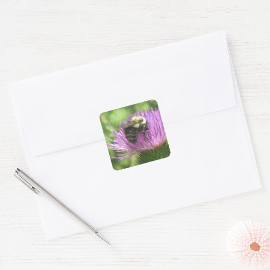 Bumblebee op de Thistle Sticker (Envelop)
