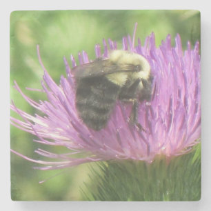 Bumblebee op een heistel stenen onderzetter