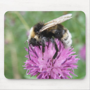 Bumblebee op een Thistle Mousepad Muismat