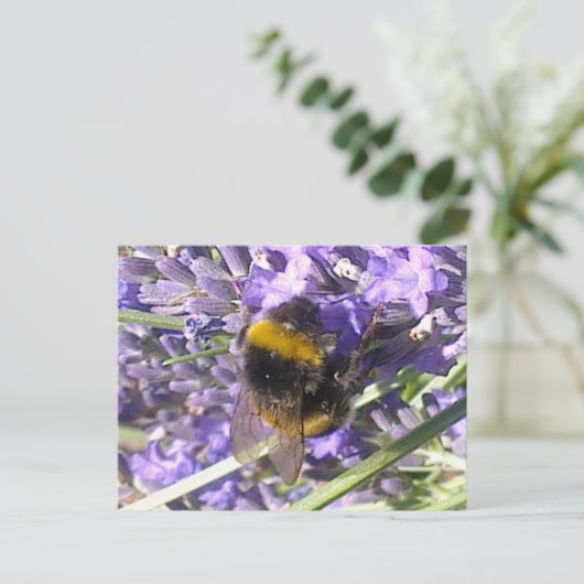Bumblebee op het Briefkaart Lavender (Staand voorkant)