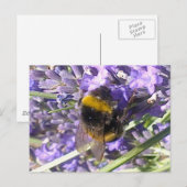 Bumblebee op het Briefkaart Lavender (Voorkant / Achterkant)