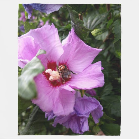 Bumblebee op Hibiscus Flower Fleece Deken (Voorkant)