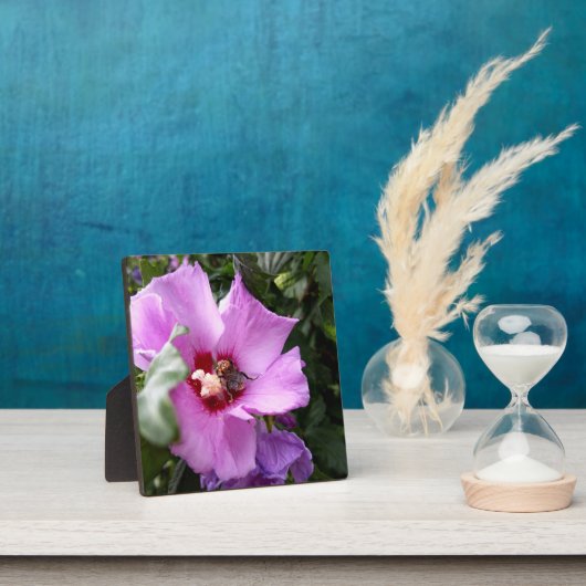 Bumblebee op Hibiscus Flower Fotoplaat (Insitu)