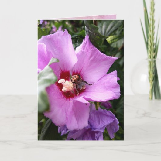 Bumblebee op Hibiscus Flower Kaart (Voorkant)