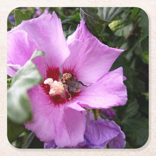 Bumblebee op Hibiscus Flower Kartonnen Onderzetters (Voorkant)