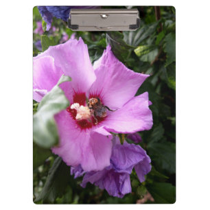 Bumblebee op Hibiscus Flower Klembord