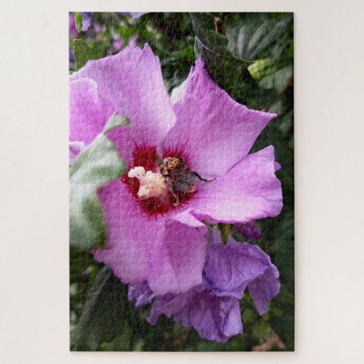Bumblebee op Hibiscus Flower Legpuzzel (Verticaal)