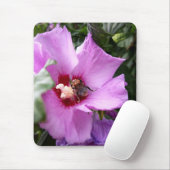 Bumblebee op Hibiscus Flower Muismat (Met muis)