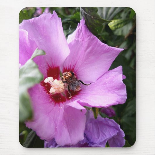 Bumblebee op Hibiscus Flower Muismat (Voorkant)