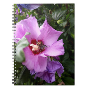 Bumblebee op Hibiscus Flower Notitieboek