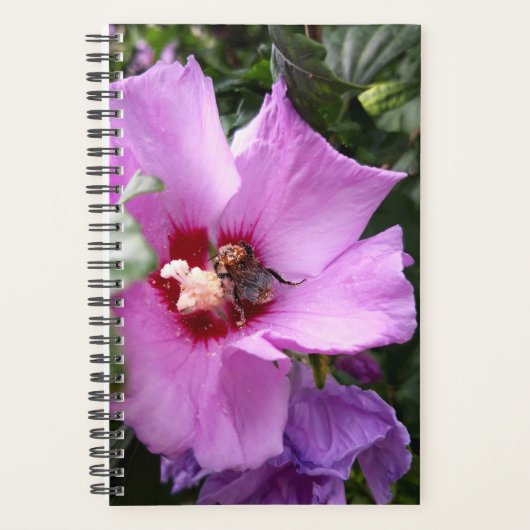 Bumblebee op Hibiscus Flower Planner (Voorkant)