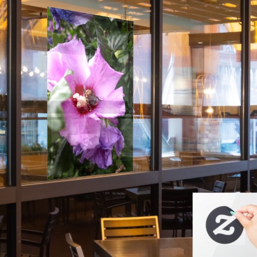 Bumblebee op Hibiscus Flower Raamsticker (Restaurant Raam)