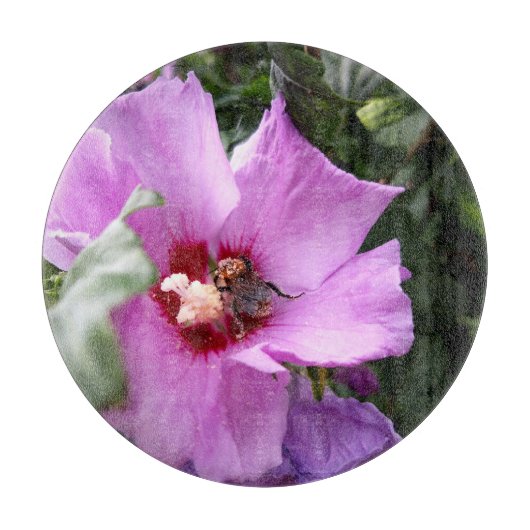 Bumblebee op Hibiscus Flower Snijplank (Voorkant)