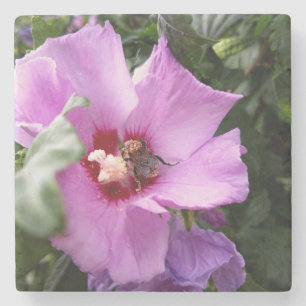 Bumblebee op Hibiscus Flower Stenen Onderzetter