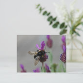 Bumblebee op lavendel briefkaart (Staand voorkant)