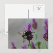Bumblebee op lavendel briefkaart (Voorkant / Achterkant)