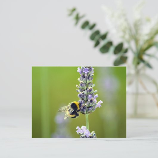 Bumblebee op Lavender Briefkaart (Staand voorkant)