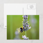 Bumblebee op Lavender Briefkaart (Voorkant / Achterkant)