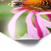 Bumblebee op Paarse Coneflower Natuur Fotografie Foto Afdruk (Hoek)