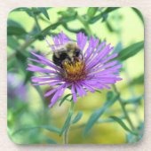 Bumblebee op Paarse Daisy Bier Onderzetter (Voorkant)