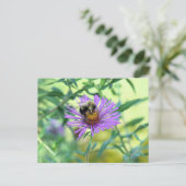 Bumblebee op Paarse Daisy Briefkaart (Staand voorkant)