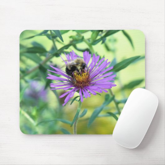 Bumblebee op Paarse Daisy Muismat (Met muis)