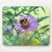 Bumblebee op Paarse Daisy Muismat (Voorkant)