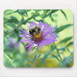 Bumblebee op Paarse Daisy Muismat