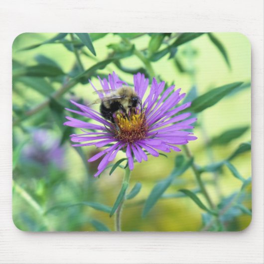 Bumblebee op Paarse Daisy Muismat (Voorkant)