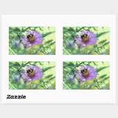 Bumblebee op Paarse Daisy Rechthoekige Sticker (Vel)