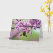 Bumblebee op Redbud Blossom Kaart (Gele Bloem)