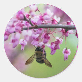 Bumblebee op Redbud Blossom Ronde Sticker