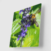 Bumblebee op Salvia wandklok (Hoek)