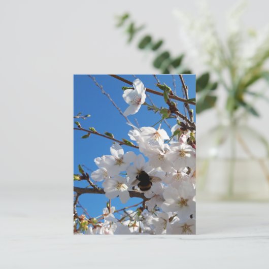 Bumblebee op wilde kersenbloei briefkaart (Staand voorkant)