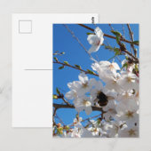 Bumblebee op wilde kersenbloei briefkaart (Voorkant / Achterkant)