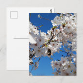 Bumblebee op wilde kersenbloei briefkaart (Voorkant / Achterkant)