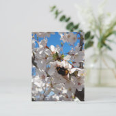 Bumblebee op wilde kersenbloei briefkaart (Staand voorkant)