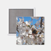 Bumblebee op wilde kersenbloei magneet (Voorkant / Achterkant)